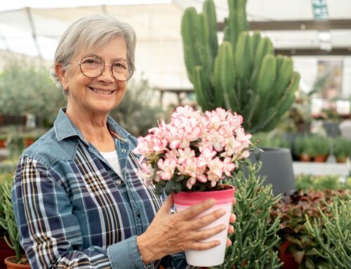 4 Springtime Activities That Every Senior Will Love