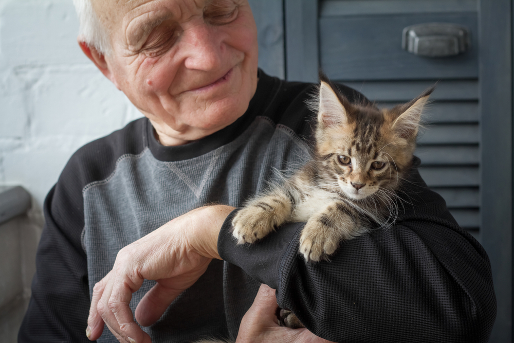 Elderly man with a kitten in his arms enjoying senior living apartments in madison heights mi